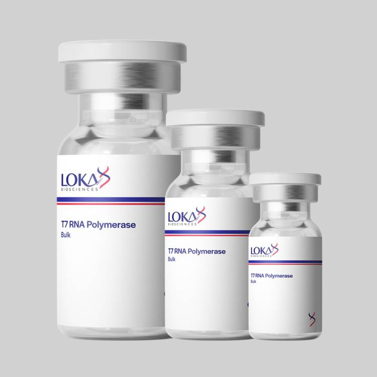 T7 RNA Polymerase - Image 2
