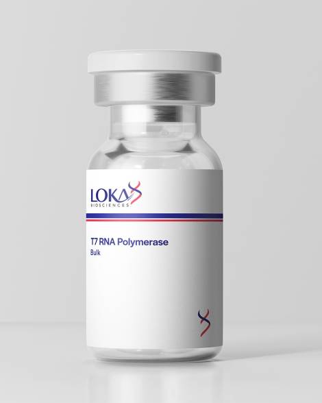 T7 RNA Polymerase