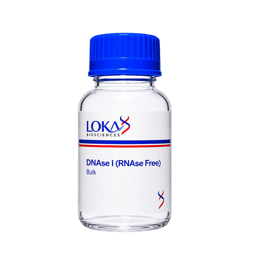 DNAse I (RNAse Free)