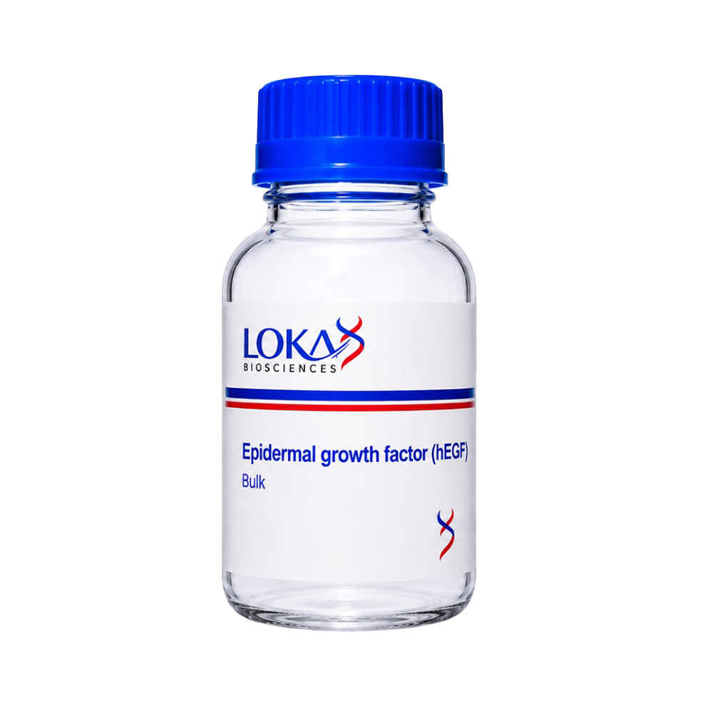 Epidermal growth factor (hEGF)