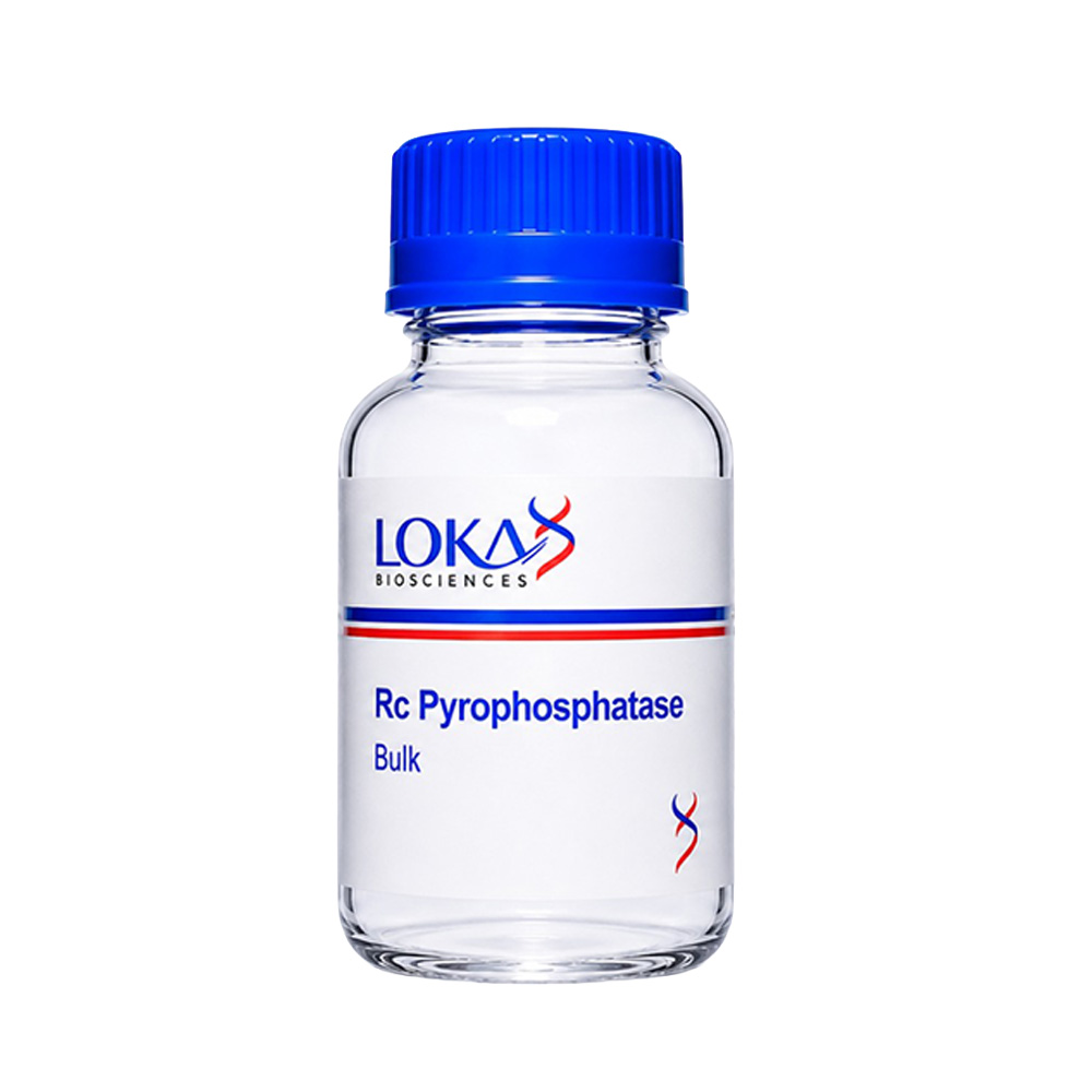 Rc Pyrophosphatase