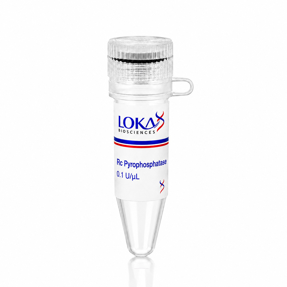 Rc Pyrophosphatase - Image 2