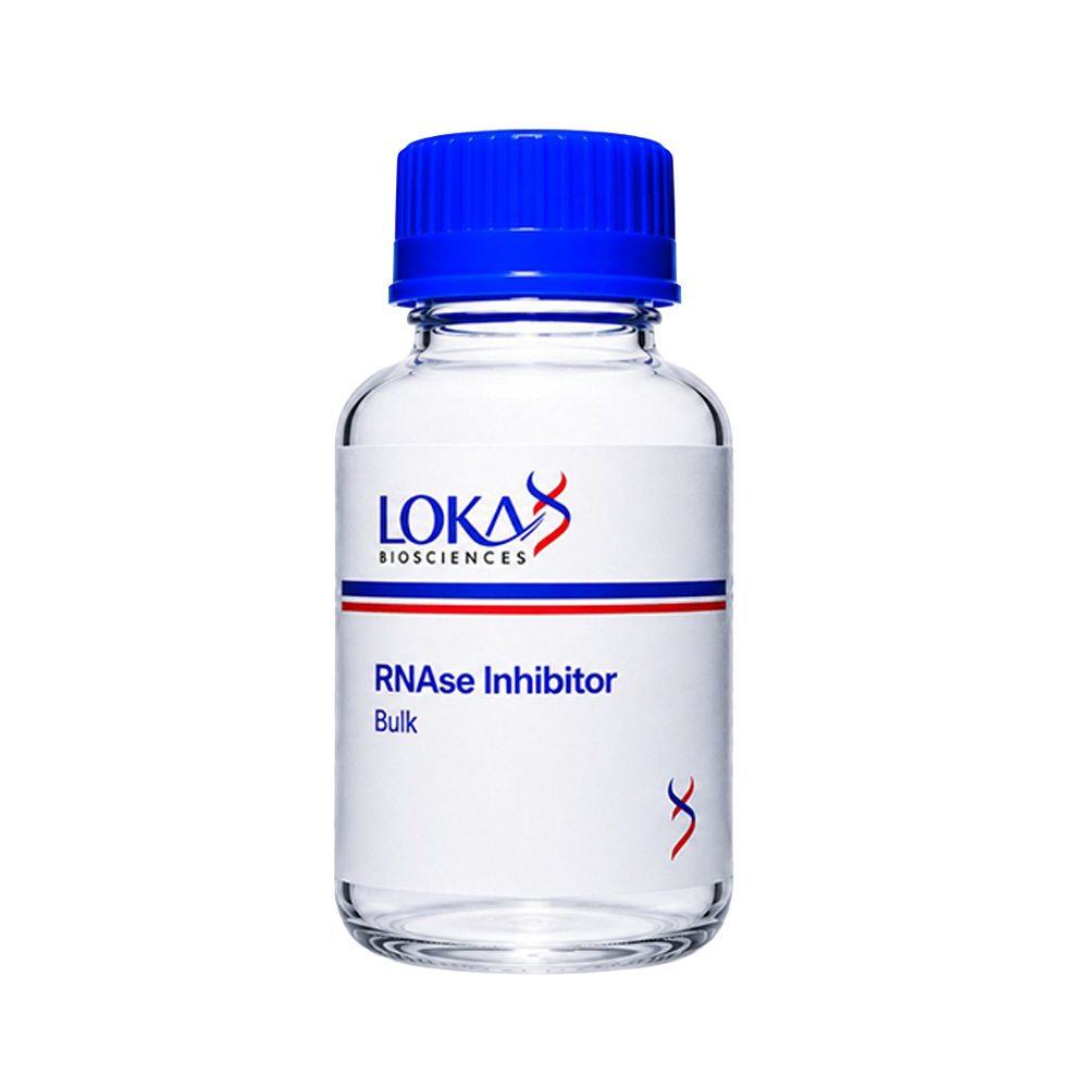 RNAse Inhibitor