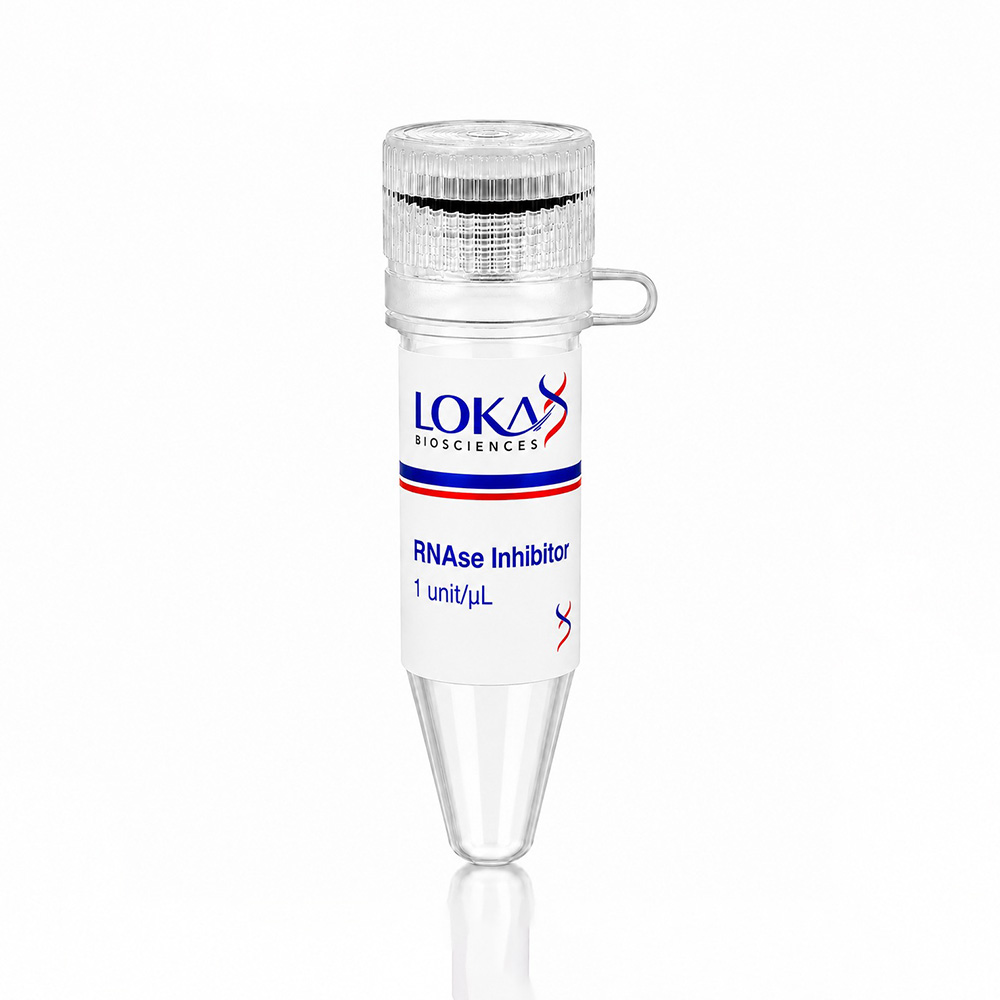 RNAse Inhibitor - Image 2