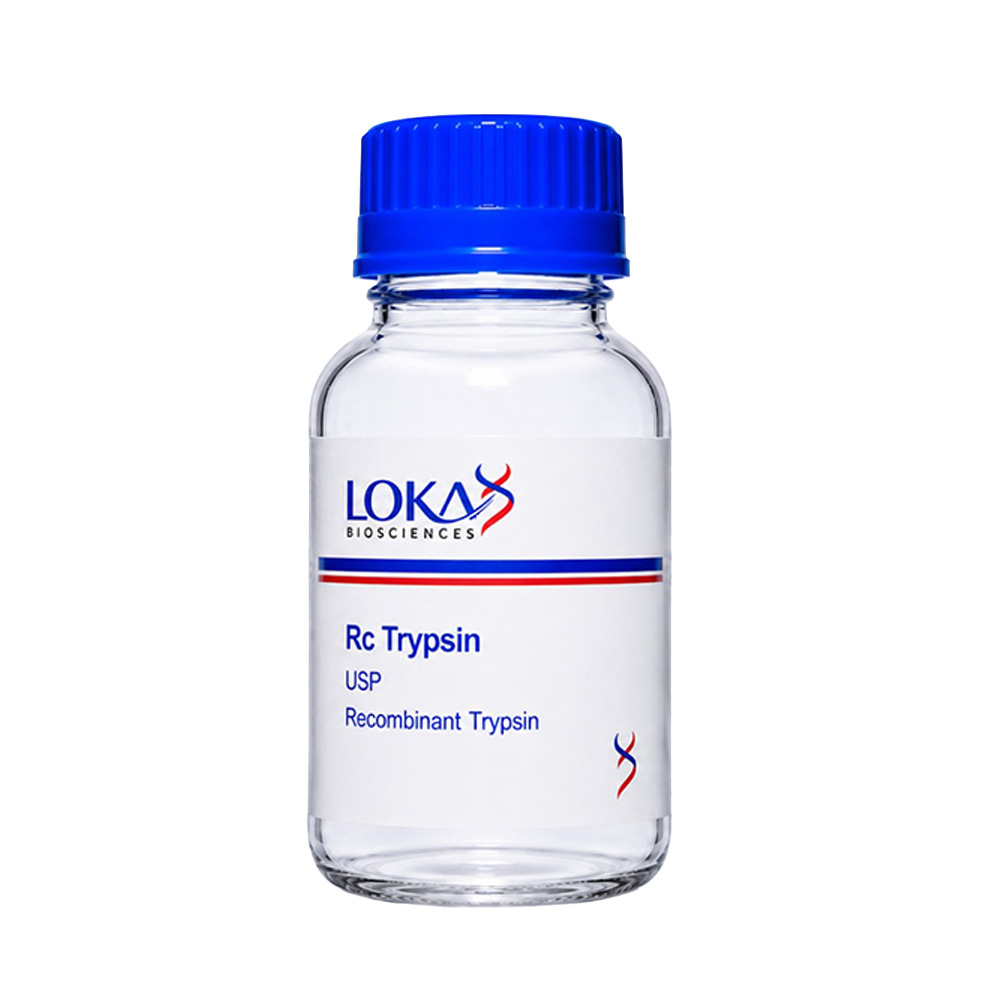 Rc Trypsin (USP)